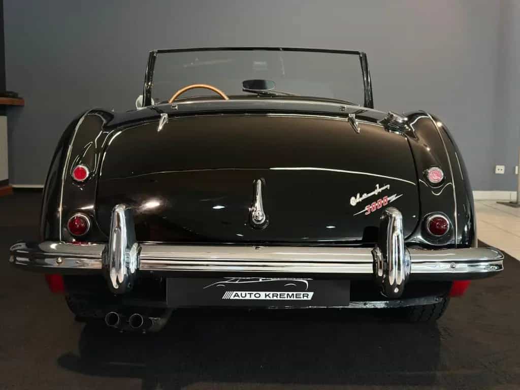 Austin Healey Other Austin Healy 3000 07/1961-photo-3