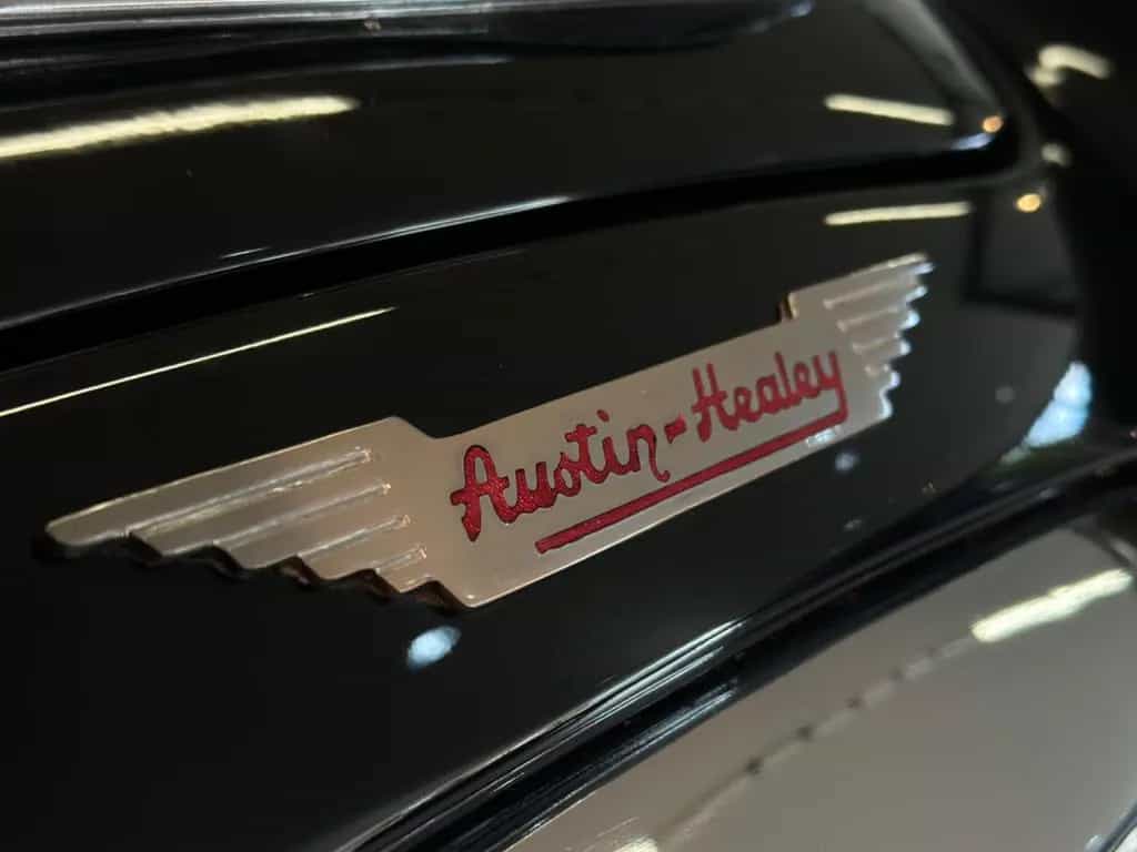 Austin Healey Other Austin Healy 3000 07/1961-photo-7