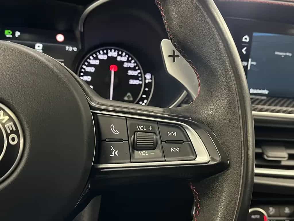 Alfa Romeo Stelvio Quadrifoglio Pano*Memory*R-Cam*AWD*1Hand 08/2020-photo-14
