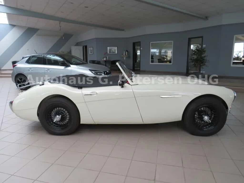 Austin Healey 100-6 (BN4) Roadster 6 Zylinder Classic Data 2+ 06/1959-photo-3
