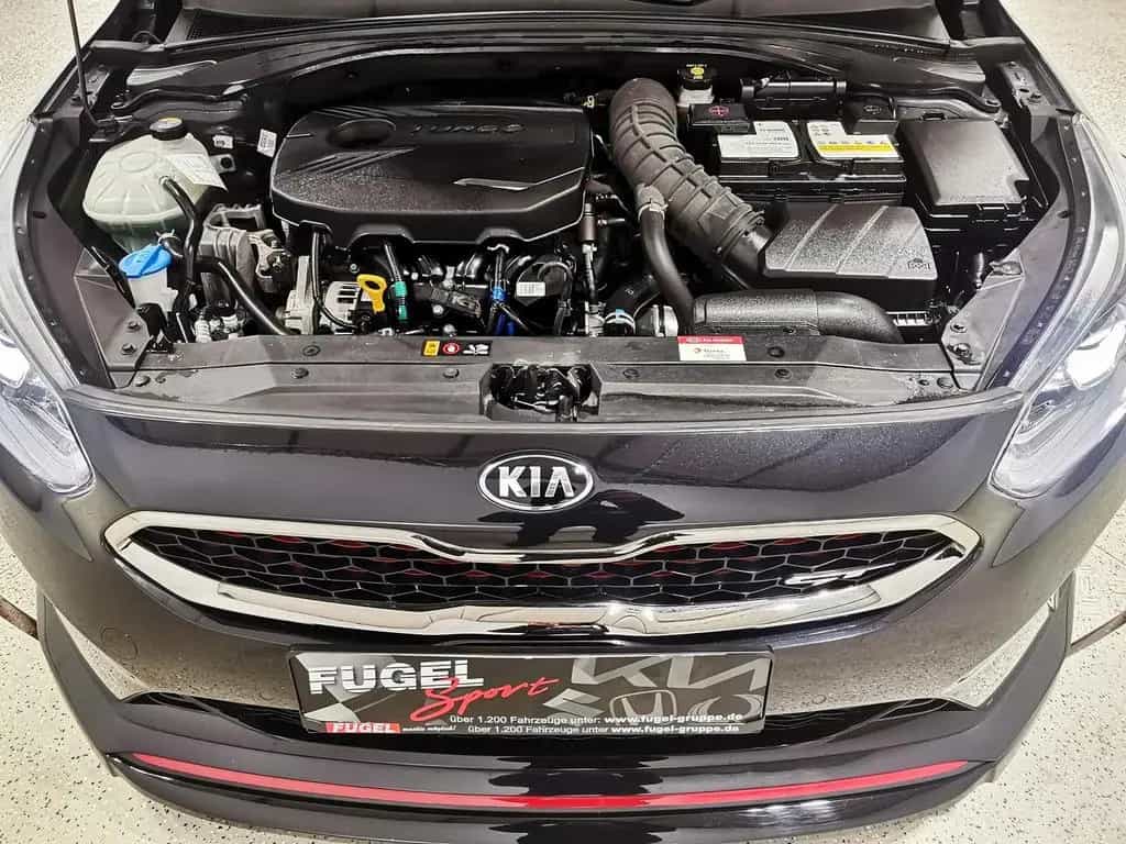 Kia cee'd / Ceed Ceed 1.6 TGDI GT FUGEL SPORT 19''|TIEFER|SPOILER 09/2019-photo-22