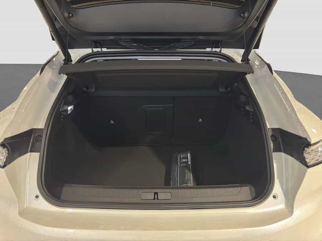 DS Automobiles DS4 DS 4 Pallas 130HDI 130BlueHDI + DAB + LED+ 12/2025-photo-19