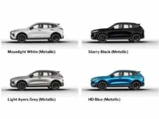 GWM HAVAL Jolion Pro 1.5 Turbo 7G-DCT Premium Pano A null-photo-8