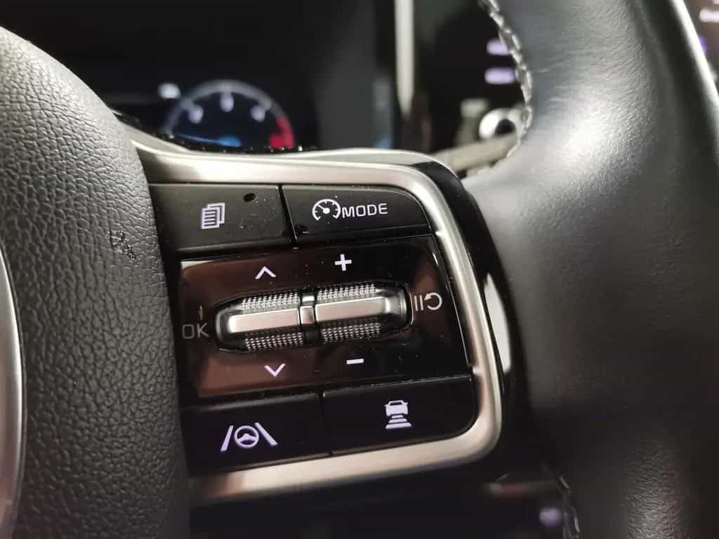 Kia Sorento 2.2 CRDi DCT Platinum 4WD 7S|AHK|LED|Pan 01/2021-photo-21