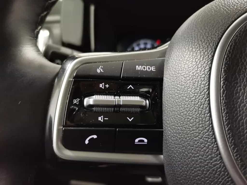 Kia Sorento 2.2 CRDi DCT Platinum 4WD 7S|AHK|LED|Pan 01/2021-photo-22