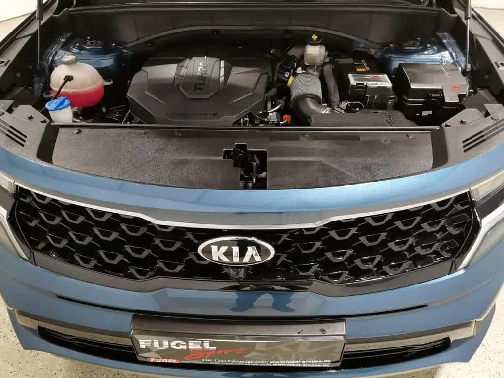 Kia Sorento 2.2 CRDi DCT Platinum 4WD 7S|AHK|LED|Pan 01/2021-photo-24