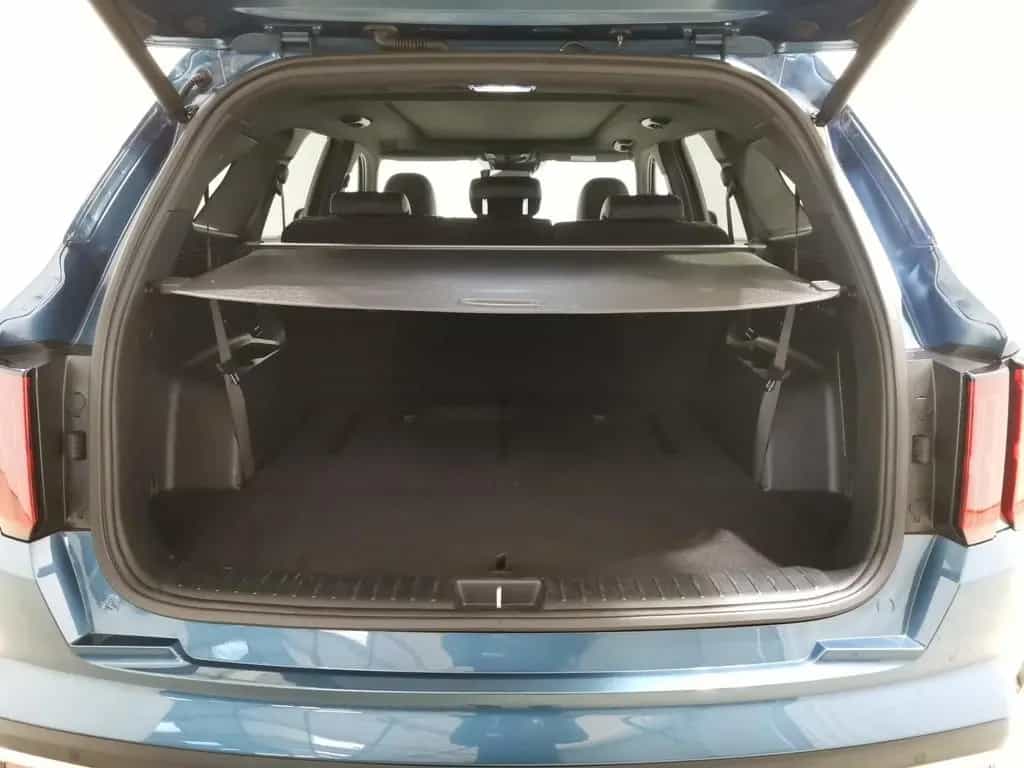 Kia Sorento 2.2 CRDi DCT Platinum 4WD 7S|AHK|LED|Pan 01/2021-photo-25