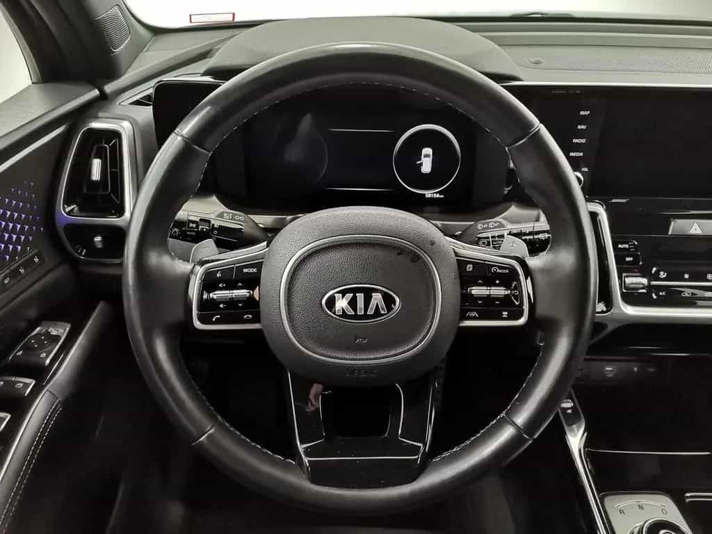 Kia Sorento 2.2 CRDi DCT Platinum 4WD 7S|AHK|LED|Pan 01/2021-photo-7