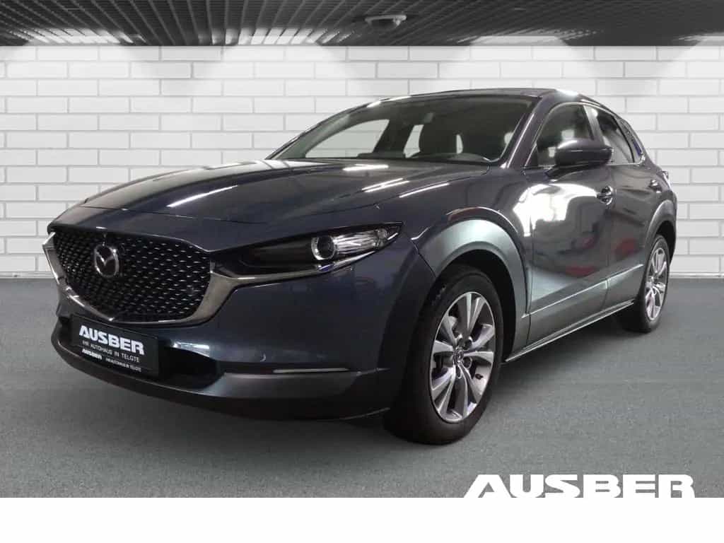 Mazda CX-30 Selection 2WD 360° Bose Ganzjahresreifen H 11/2021-photo-1