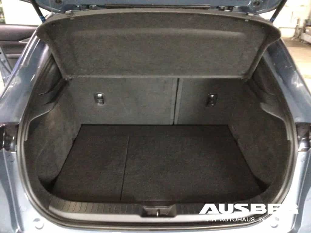 Mazda CX-30 Selection 2WD 360° Bose Ganzjahresreifen H 11/2021-photo-12