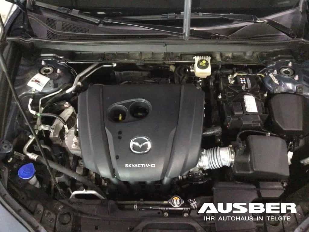 Mazda CX-30 Selection 2WD 360° Bose Ganzjahresreifen H 11/2021-photo-13