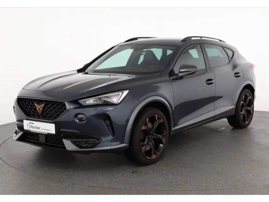 Cupra Formentor 2.0 TSI 4Drive VZ DSG AHK/LED/ACC/RFK 06/2022-photo-1