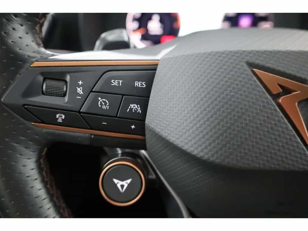Cupra Formentor 2.0 TSI 4Drive VZ DSG AHK/LED/ACC/RFK 06/2022-photo-13