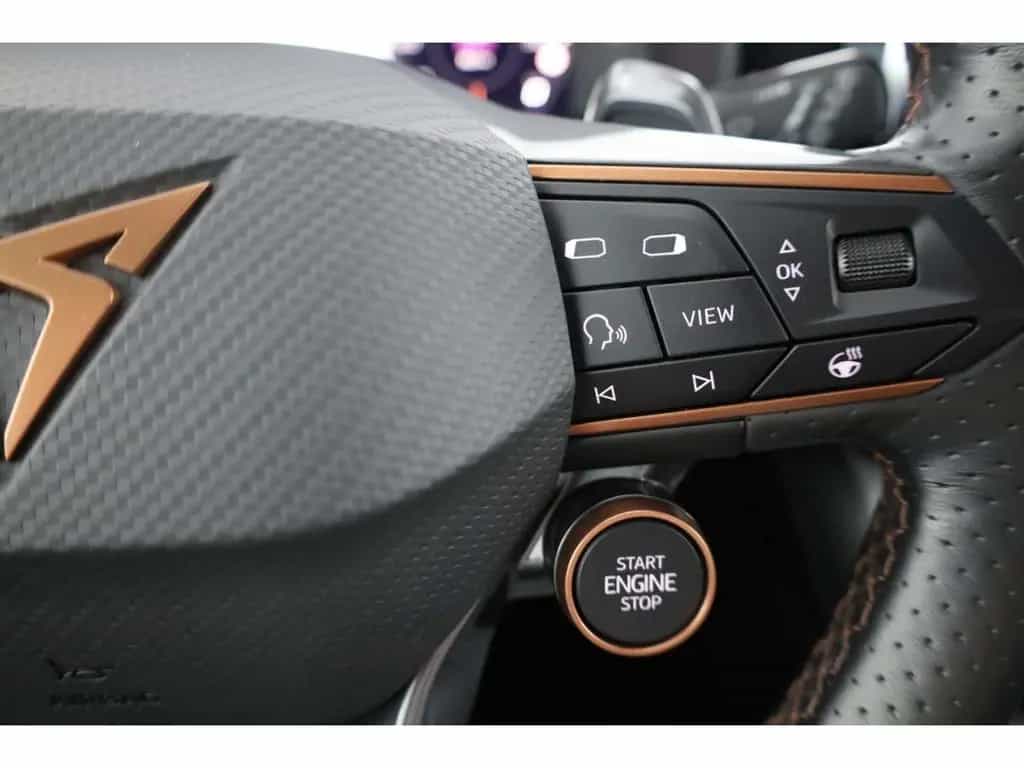 Cupra Formentor 2.0 TSI 4Drive VZ DSG AHK/LED/ACC/RFK 06/2022-photo-14