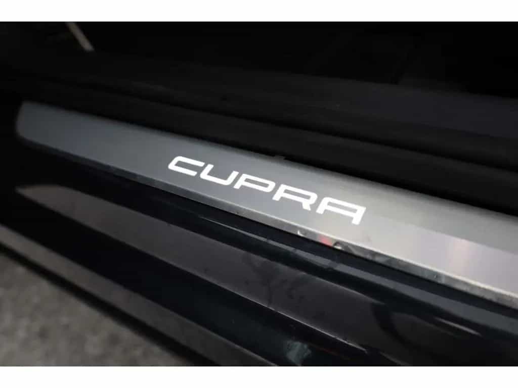 Cupra Formentor 2.0 TSI 4Drive VZ DSG AHK/LED/ACC/RFK 06/2022-photo-23