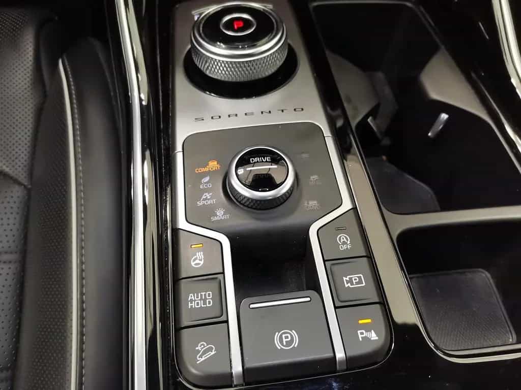 Kia Sorento 2.2 CRDi DCT Platinum 4WD Pano|LED|SHZ|A 11/2020-photo-11