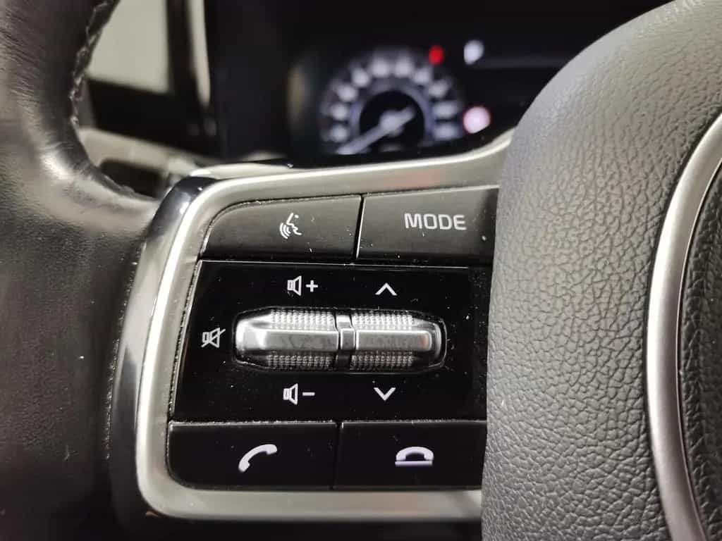 Kia Sorento 2.2 CRDi DCT Platinum 4WD Pano|LED|SHZ|A 11/2020-photo-21