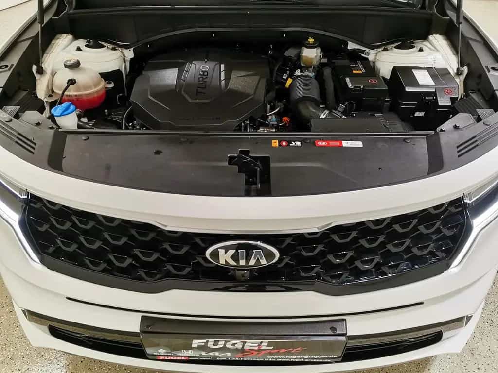 Kia Sorento 2.2 CRDi DCT Platinum 4WD Pano|LED|SHZ|A 11/2020-photo-24