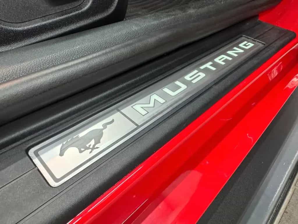 Ford Mustang 5.0 GT Cabrio Premium/Digi-Tacho/B&o/ACC 07/2019-photo-15