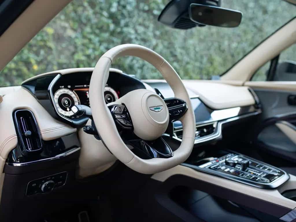 Aston Martin DBX 707 | NEW | VAT | Storm Purple null-photo-37