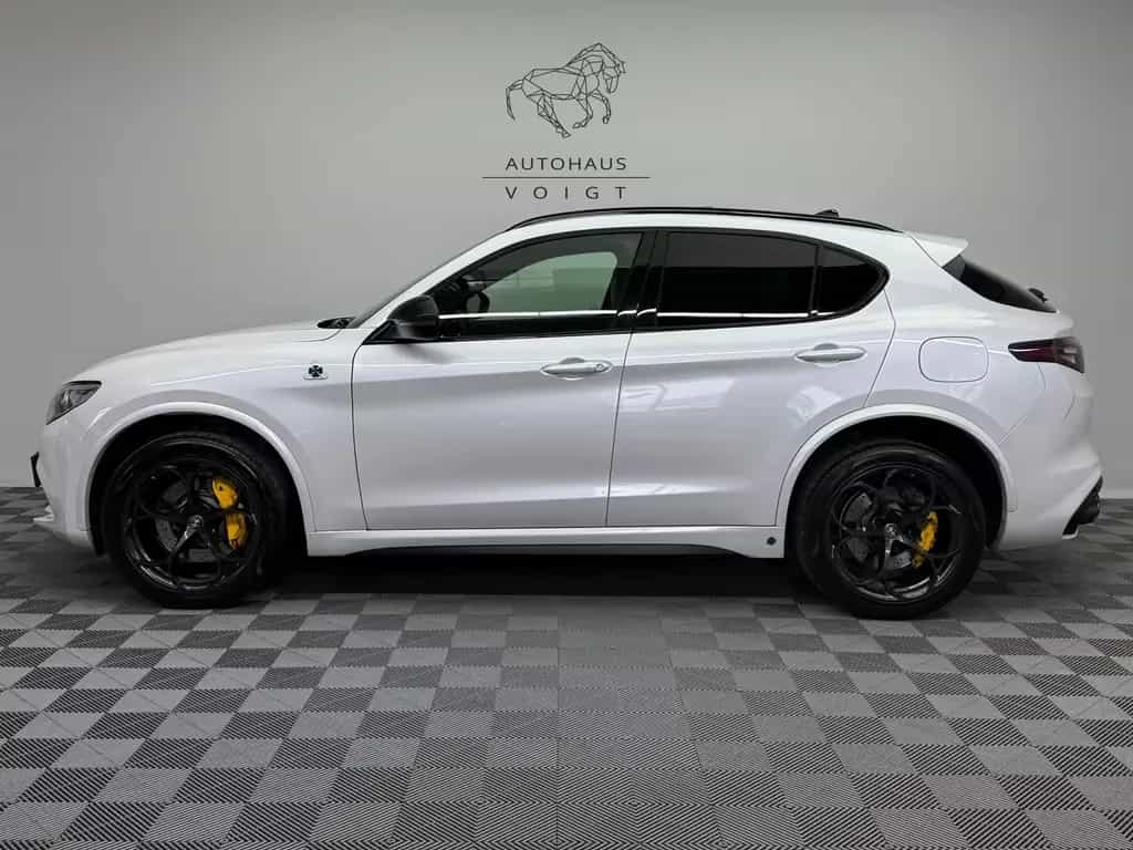 Alfa Romeo Stelvio Quadrifoglio Q4|AKRAPOVIC|PANO|Schale| 11/2020-photo-0