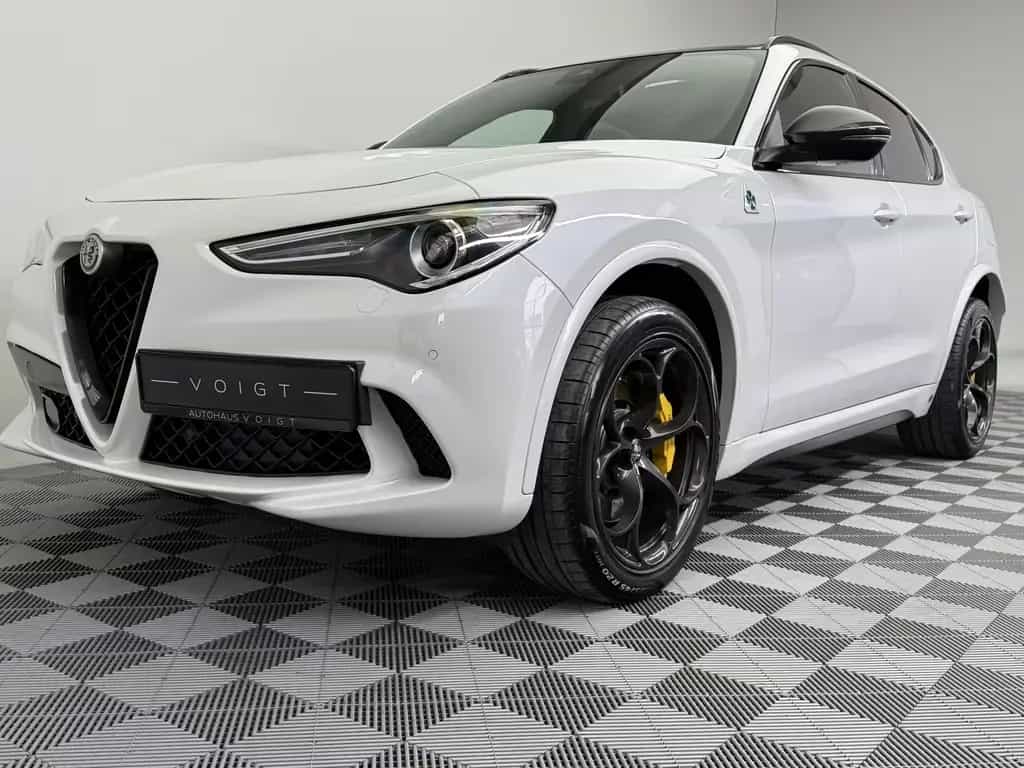 Alfa Romeo Stelvio Quadrifoglio Q4|AKRAPOVIC|PANO|Schale| 11/2020-photo-28