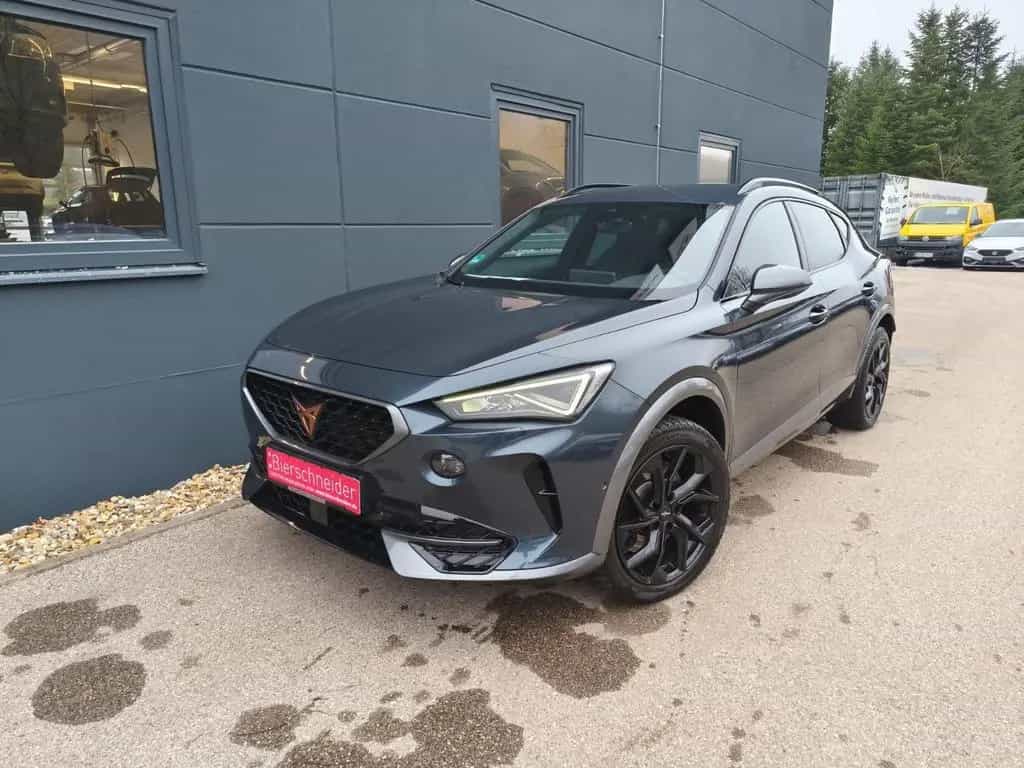 Cupra Formentor 2.0 TSI DSG 4DRIVE VZ eSitz BEATS KAME 08/2022-photo-1