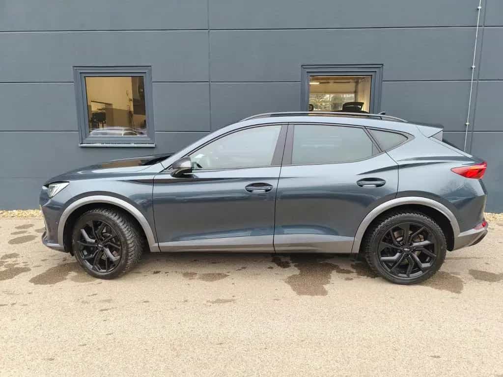 Cupra Formentor 2.0 TSI DSG 4DRIVE VZ eSitz BEATS KAME 08/2022-photo-4