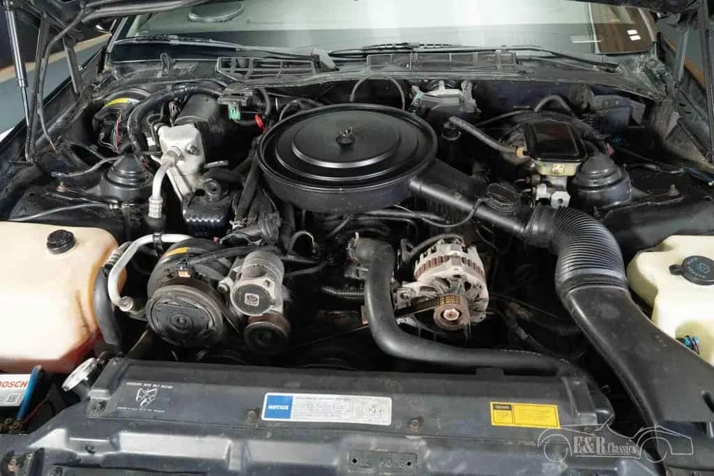 Chevrolet Camaro RS Cabrio | 1991 01/1991-photo-17