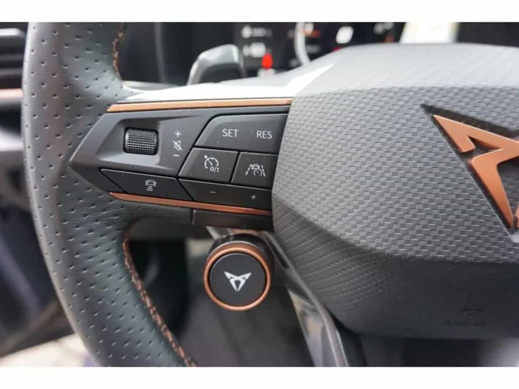 Cupra Formentor VZ 2.0 TSI DSG AHK Matrix Beats ACC 36 05/2023-photo-13