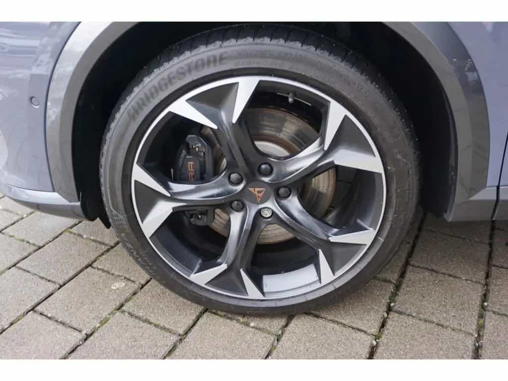 Cupra Formentor VZ 2.0 TSI DSG AHK Matrix Beats ACC 36 05/2023-photo-9