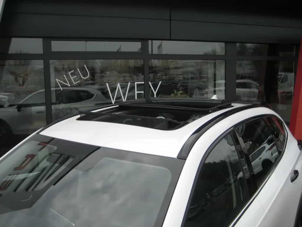GWM HAVAL Jolion Pro Premium 1.5Turbo/5JahreGarantie null-photo-26