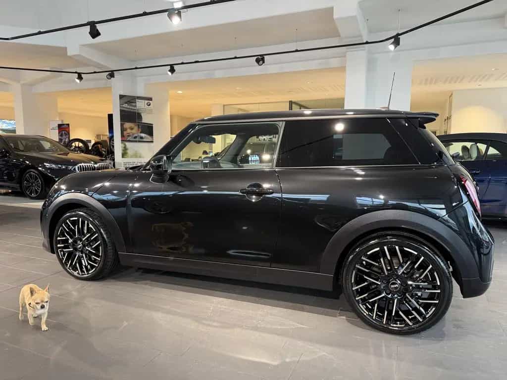 MINI Cooper S Favoured Trim 3-trg. 11/2024-photo-2