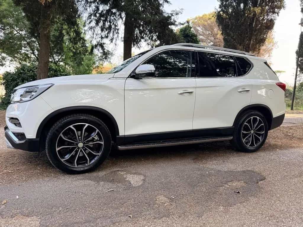 Ssangyong Rexton 2.2d 181cv 4WD 4x4 Gancio Train 01/2019-photo-6
