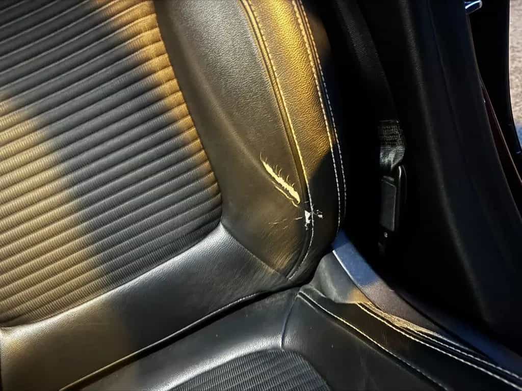 Renault Grand Scenic 08/2017-photo-29