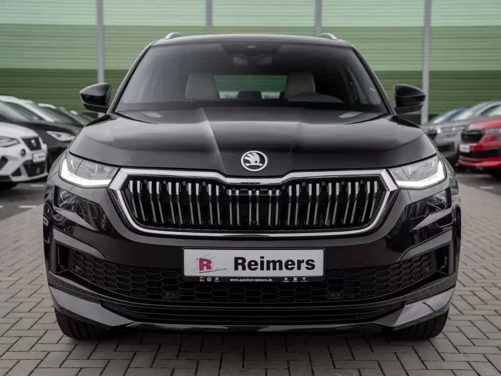 Skoda Kodiaq L&K 1.5 TSI DSG DCC AHK Kam. Leder 360 LM 10/2022-photo-2