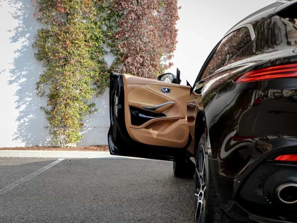 Aston Martin DBX 4.0 V8 04/2021-photo-19