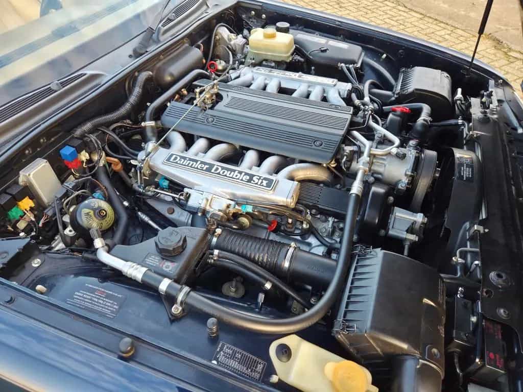 Jaguar Daimler Double Six (XJ81) 01/1994-photo-13