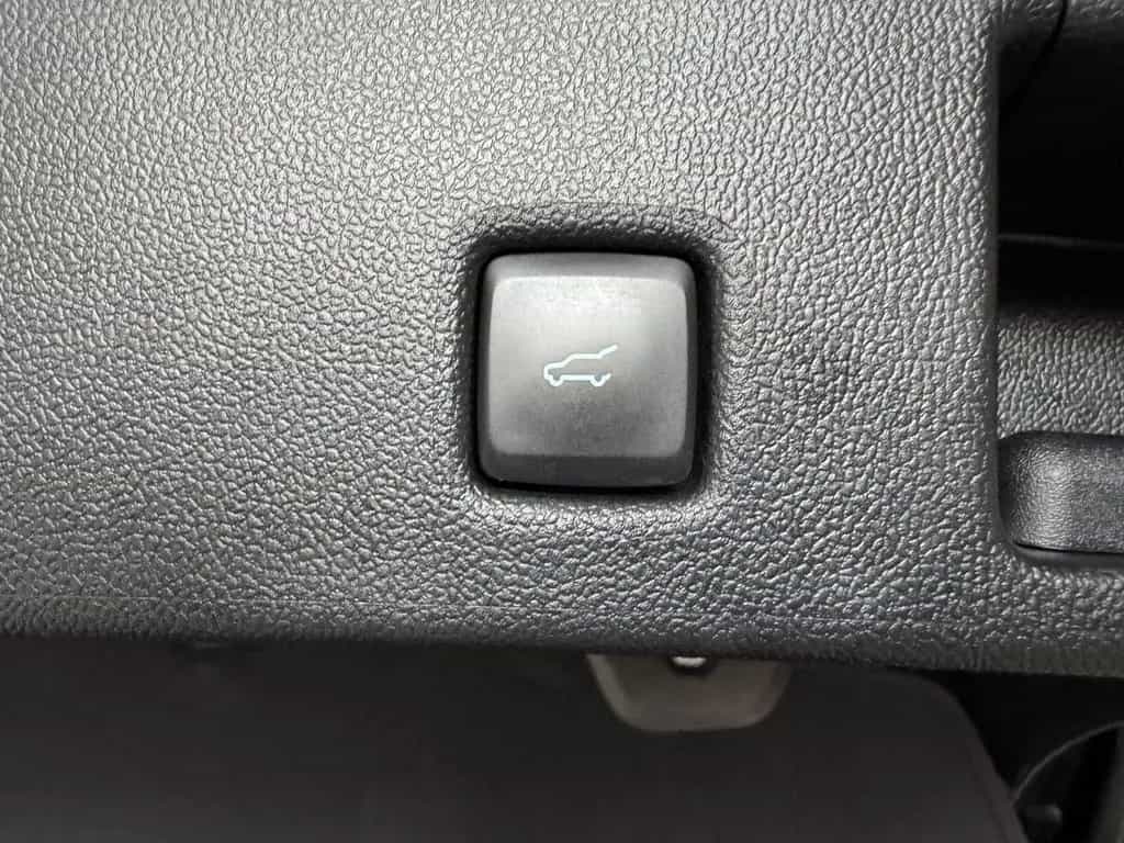 Other Other Ford Kuga 2.0 Diesel 120 CV aut. 2WD Titanium X 09/2023-photo-11