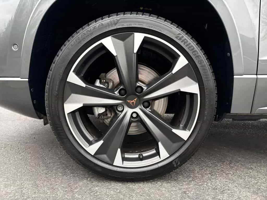 Cupra Ateca 2.0 TSI 4Drive DSG, AHK, LED 03/2025-photo-6