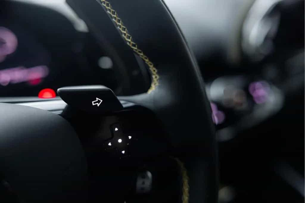 Ferrari Purosangue 6.5 V12 | Matte PPF | Panorama | CF E 01/2025-photo-33