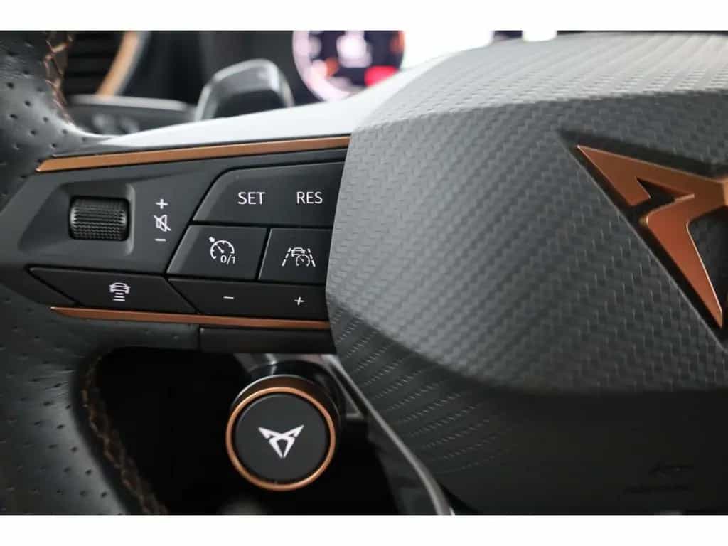 Cupra Formentor 2.0 TSI 4Drive VZ DSG AHK/LED/ACC/RFK 11/2022-photo-13