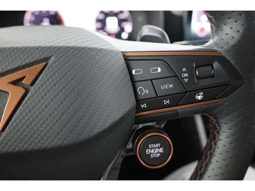 Cupra Formentor 2.0 TSI 4Drive VZ DSG AHK/LED/ACC/RFK 11/2022-photo-14