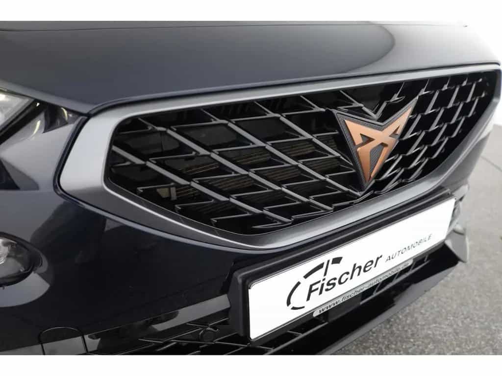 Cupra Formentor 2.0 TSI 4Drive VZ DSG AHK/LED/ACC/RFK 11/2022-photo-29