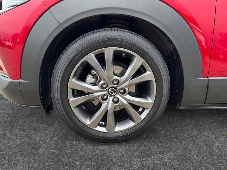 Mazda CX-30 SKYACTIV-X 2.0 M HYBRID 6AG AL-SELECTION A 05/2023-photo-9