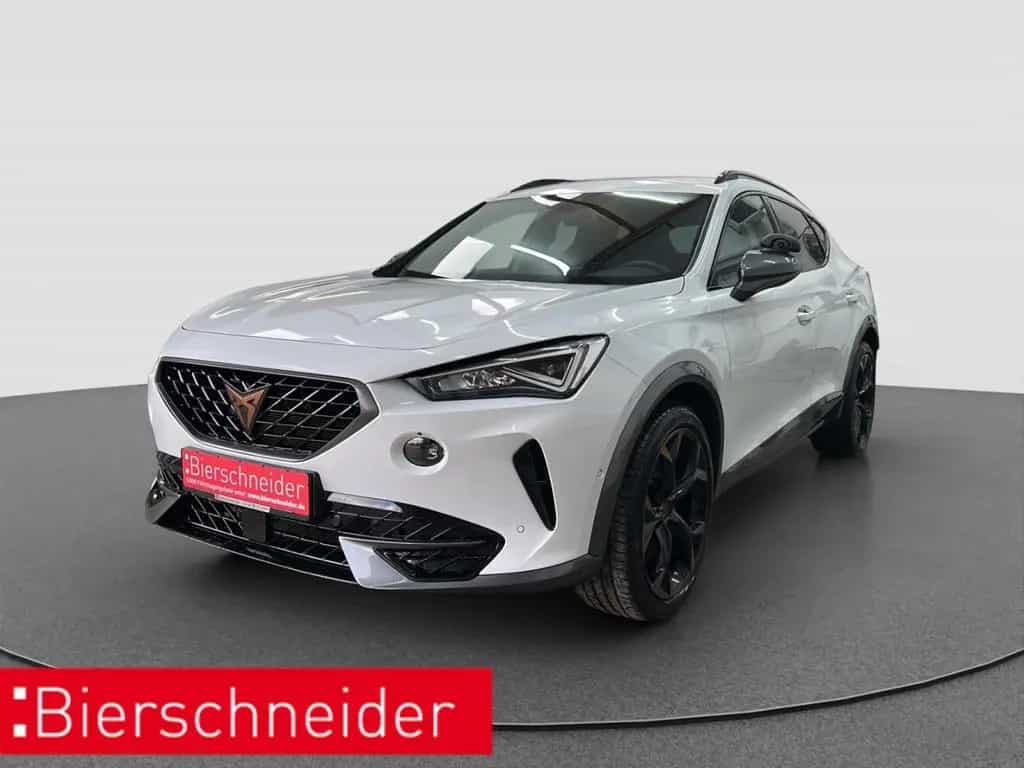 Cupra Formentor 2.0 TSI DSG 4Drive VZ ab mtl. 249,- AH 09/2023-photo-0