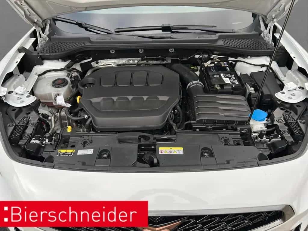 Cupra Formentor 2.0 TSI DSG 4Drive VZ ab mtl. 249,- AH 09/2023-photo-25