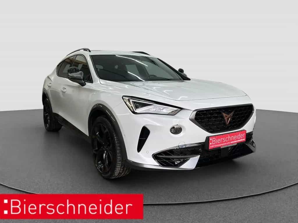 Cupra Formentor 2.0 TSI DSG 4Drive VZ ab mtl. 249,- AH 09/2023-photo-3
