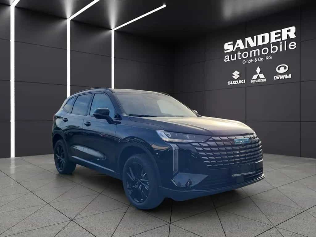 GWM Haval H6 Luxury null-photo-3