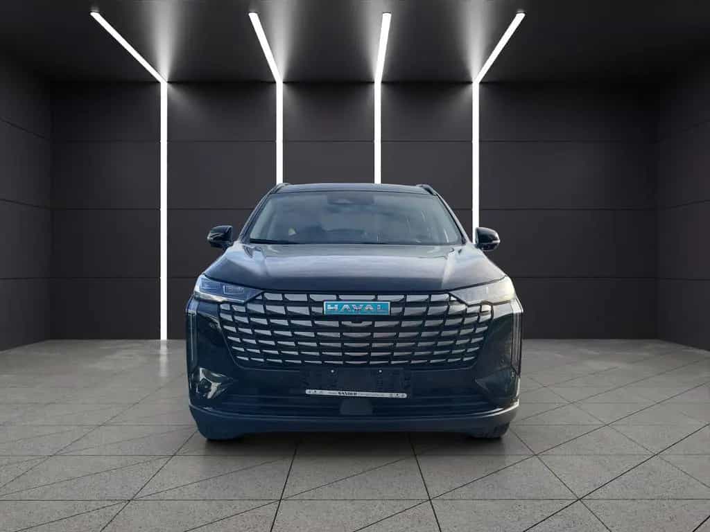 GWM Haval H6 Luxury null-photo-7